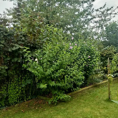 Homestay La Chapelle 4 - 4 Lits Doubles *