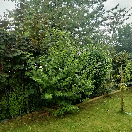 Homestay La Chapelle *