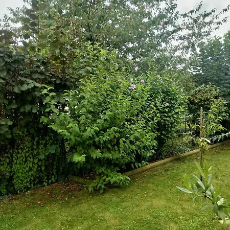 Homestay La Chapelle Teloche