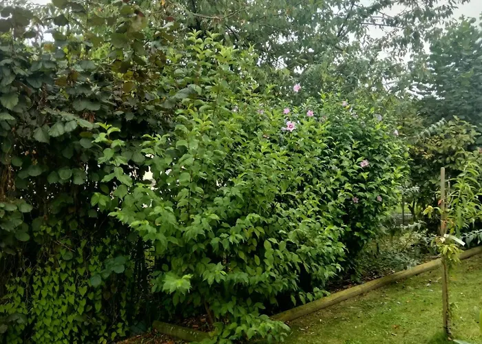 בית אירוח La Chapelle 4 - 4 Lits Doubles *