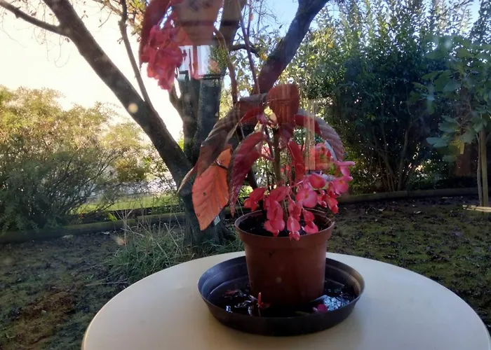 La Chapelle 4 - 4 Lits Doubles *